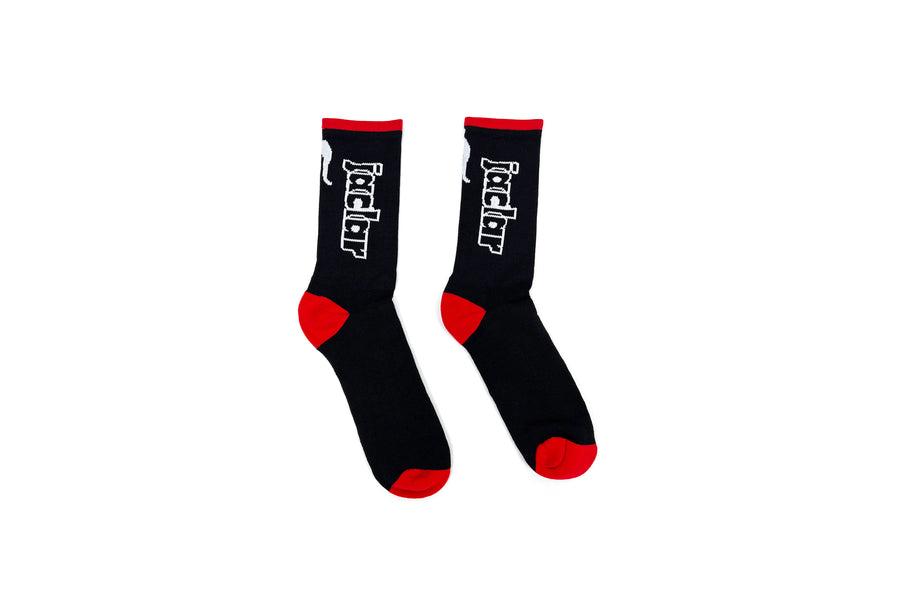 Big logo Sock